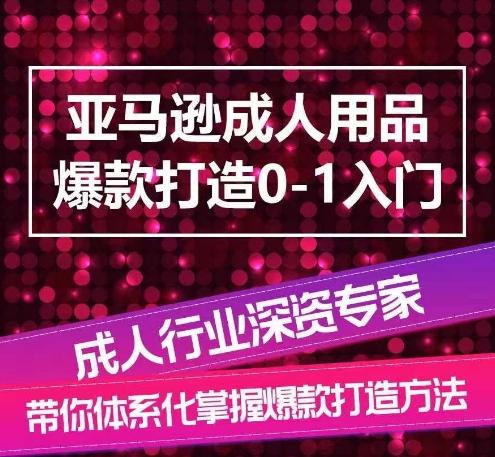 亚马逊成人用品爆款打造0-1入门，系统化讲解亚马逊成人用品爆款打造的流程-轻资本网