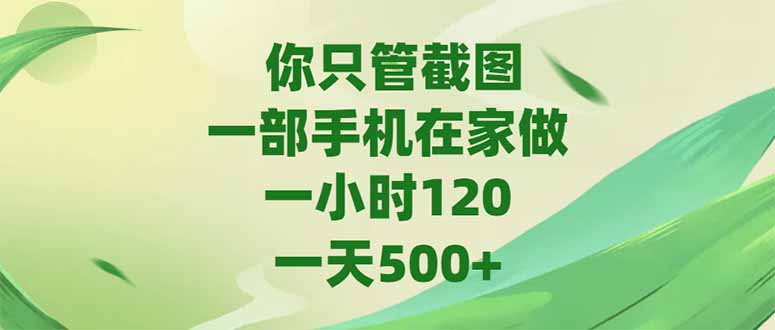 你只管截图，一部手机在家做，一小时120，-天500+-轻资本网