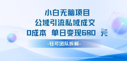 小白无脑项目公域引流私域成交0成本单日变现680米-轻资本网