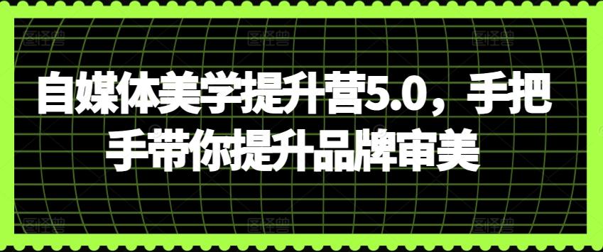 自媒体美学提升营5.0，手把手带你提升品牌审美-轻资本网