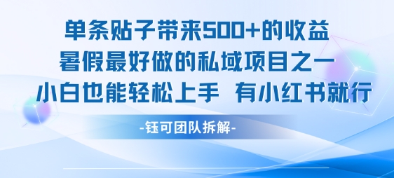 单条贴子带来5张的收益，暑假最好做的私域项目之一，小白也能轻松上手，有小红书就行-轻资本网