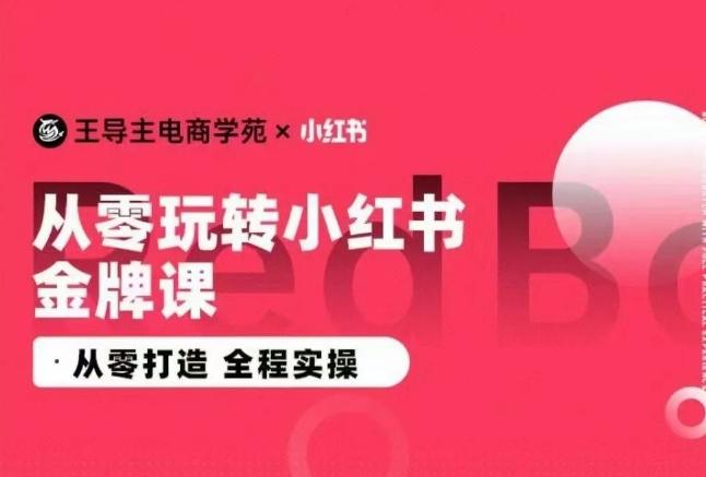 王导主·小红书电商运营实操课，​从零打造  全程实操-轻资本网