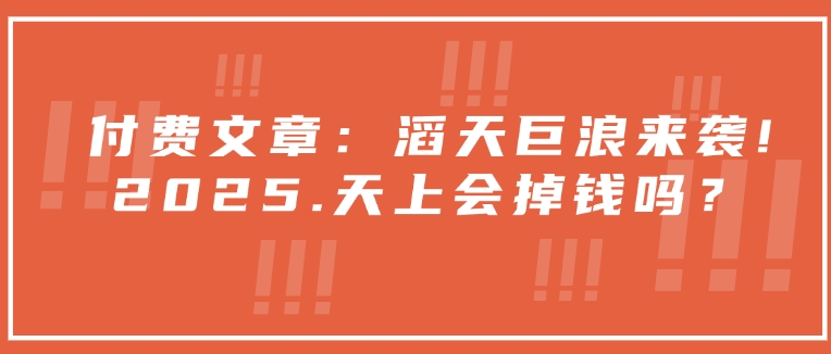 付费文章：滔天巨浪来袭！2025天上会掉钱吗？-轻资本网
