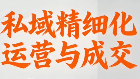 楚老师·私域精细化运营与成交-轻资本网