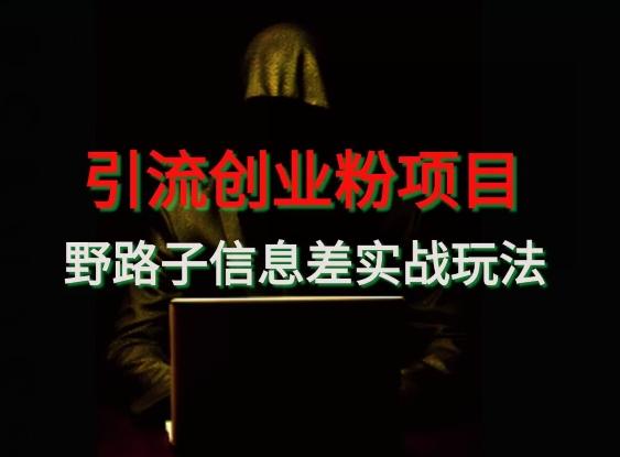 【引流创业粉】野路子信息差玩法实战教学-轻资本网
