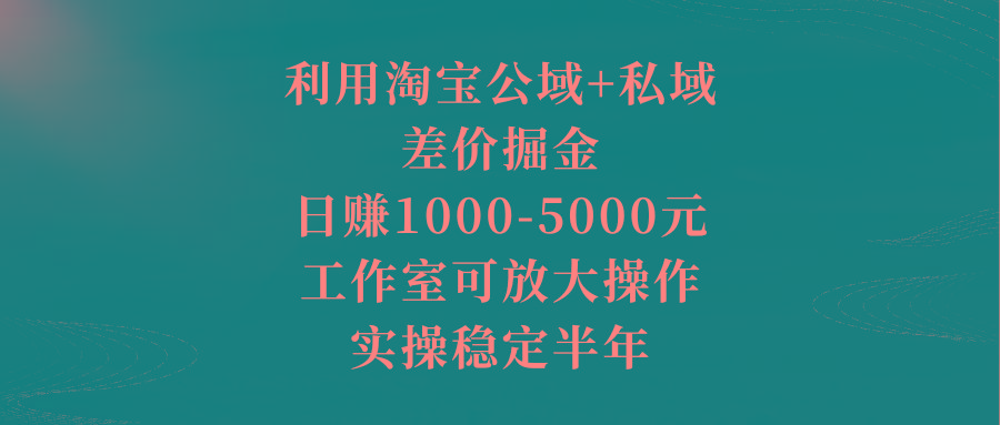 利用淘宝公域+私域差价掘金，日赚1000-5000元，工作室可放大操作，实操…-轻资本网