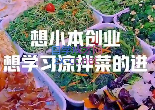 李记·精品凉拌菜系列热卤系列教程-轻资本网