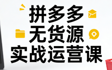 子枫老师·拼多多无货源实战运营课(更新12月)-轻资本网