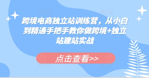 跨境电商独立站训练营，从小白到精通手把手教你做跨境+独立站建站实战-轻资本网