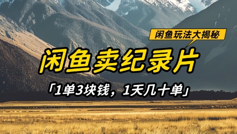 闲鱼卖纪录片1单3块钱，1天几十单，项目稳定有潜力-轻资本网