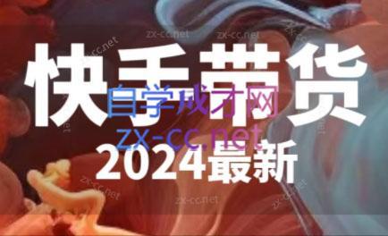 快手带货(2024最新)-轻资本网