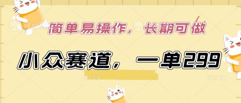 小众赛道，一单299.简单易操作，长期可做【揭秘】-轻资本网