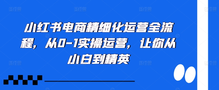 小红书电商精细化运营全流程，从0-1实操运营，让你从小白到精英-轻资本网