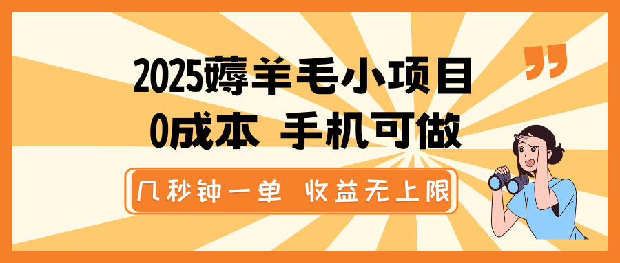 2025薅羊毛小项目，0成本 手机可做，几秒钟一单，收益无上限-轻资本网