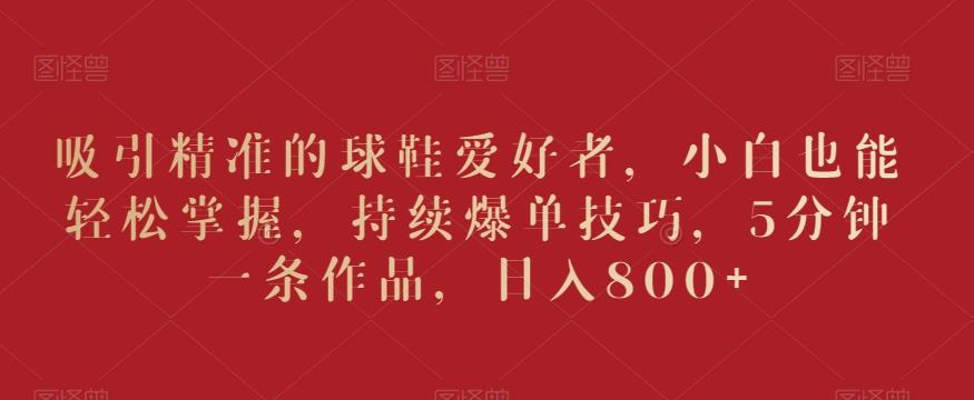 吸引精准的球鞋爱好者，小白也能轻松掌握，持续爆单技巧，5分钟一条作品，日入800+【揭秘】-轻资本网