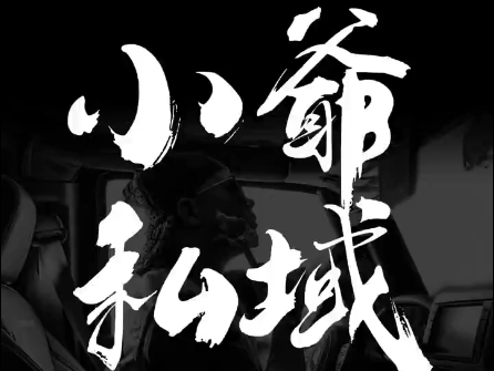 小爷·私域项目操盘手-轻资本网