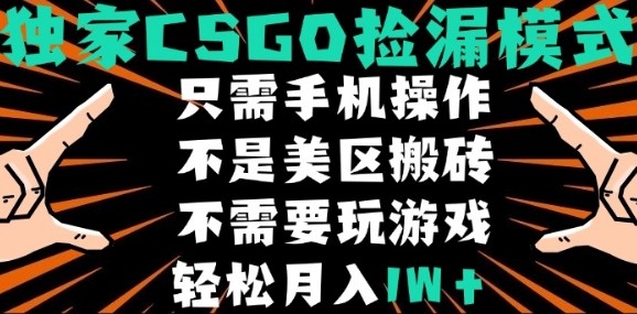CSGO自动捡漏项目，最新独家玩法，不是美区搬砖，不需要了解和玩游戏，新手小白轻松月入1W+【揭秘】-轻资本网