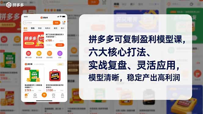 拼多多可复制盈利模型课，六大核心打法、实战复盘、灵活应用，模型清晰，稳定产出高利润-轻资本网