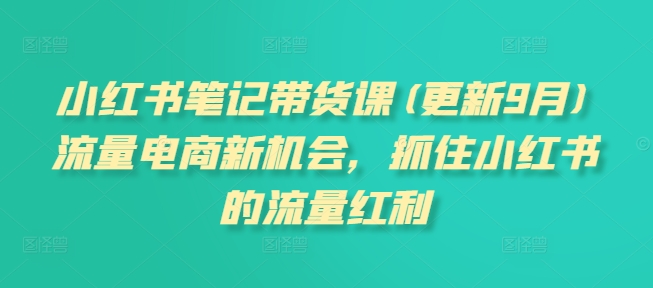 小红书笔记带货课(更新25年6月)流量电商新机会，抓住小红书的流量红利-轻资本网