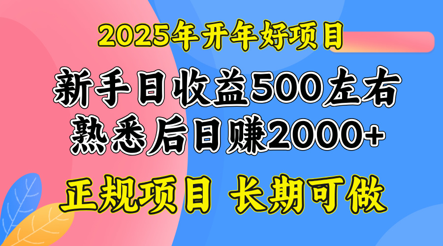 2025开年好项目，单号日收益2000左右-轻资本网
