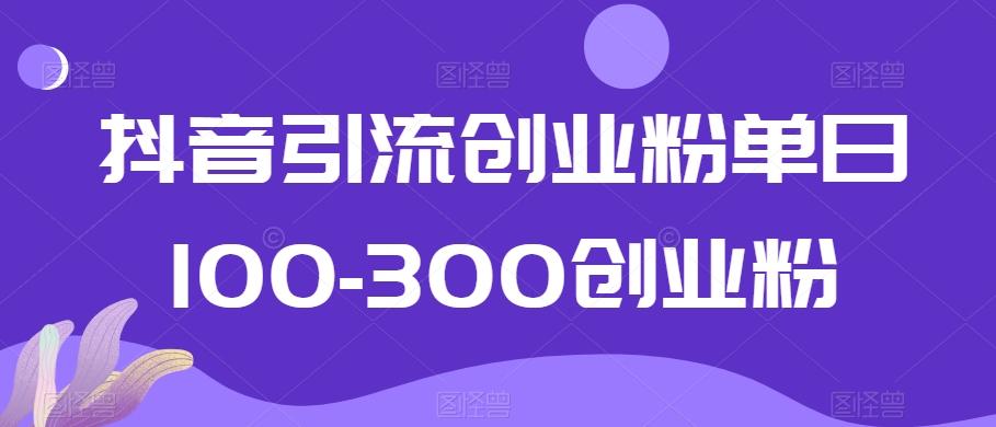 抖音引流创业粉单日100-300创业粉【揭秘】-轻资本网