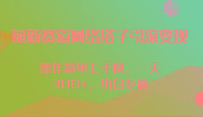 最新赛道网络搭子引流变现!!操作简单上手快，一天300+，小白专属-轻资本网