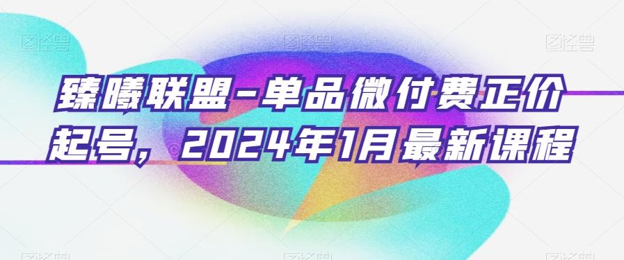 臻曦联盟-单品微付费正价起号，2024年1月最新课程-轻资本网