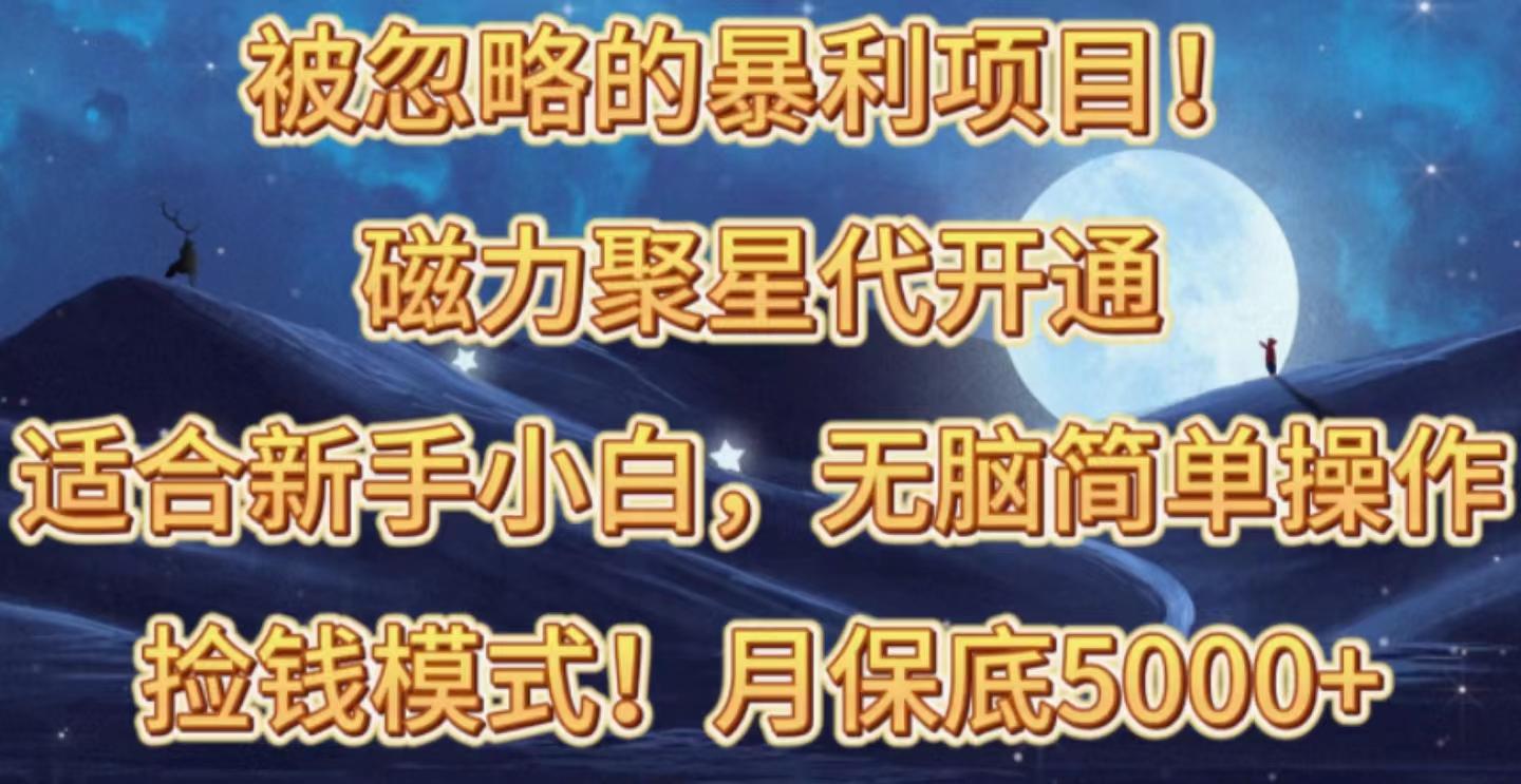 被忽略的暴利项目！磁力聚星代开通捡钱模式，轻松月入五六千-轻资本网