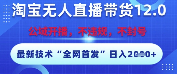淘宝无人直播带货12.0，最新技术，不封号，不违规，操作简单，开播爆单，日入多张【揭秘】-轻资本网