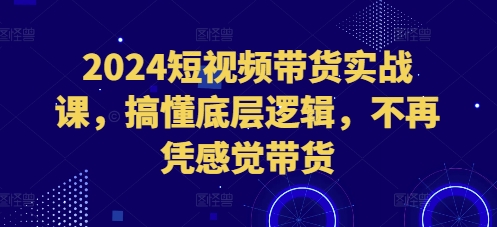 2024短视频带货实战课，搞懂底层逻辑，不再凭感觉带货-轻资本网
