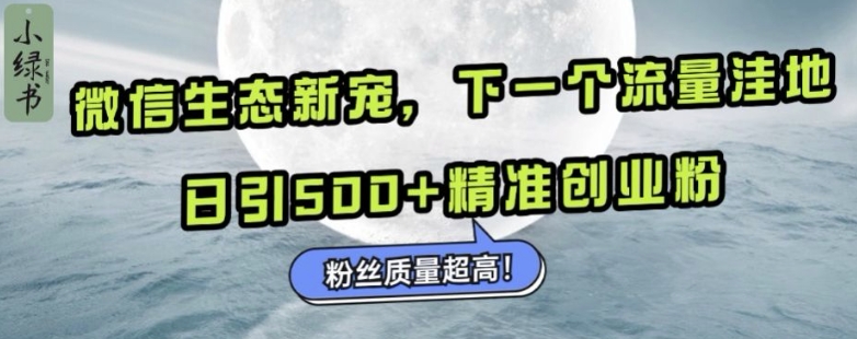 微信生态新宠小绿书：下一个流量洼地，日引500+精准创业粉，粉丝质量超高-轻资本网