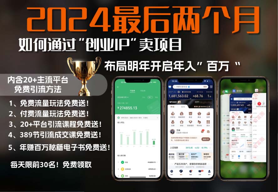 2024最后两个月如何通过”创业IP“卖项目年入”百万“,创业IP+最强引流…-轻资本网