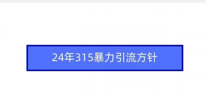 24年315暴力引流方针-轻资本网