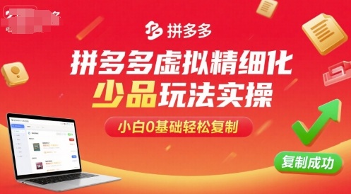 拼多多虚拟精细化少品玩法实操，小白0基础轻松复制-轻资本网