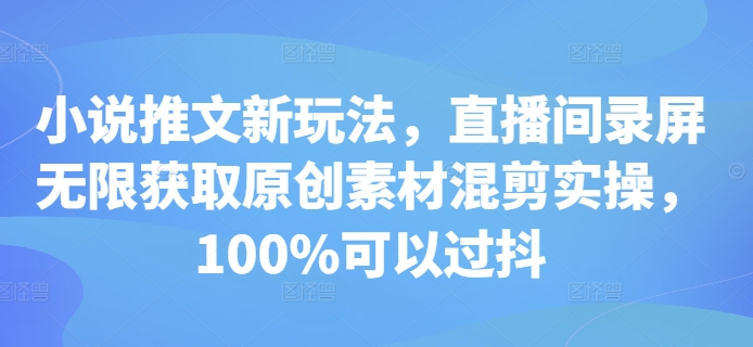 小说推文新玩法，直播间录屏无限获取原创素材混剪实操，100%可以过抖-轻资本网