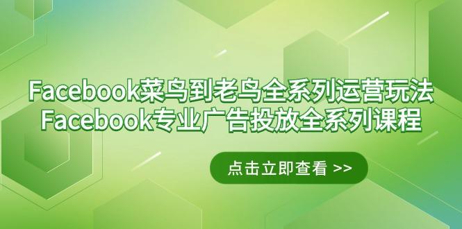 Facebook-菜鸟到老鸟全系列运营玩法+Facebook-专业广告投放全系列课程-轻资本网