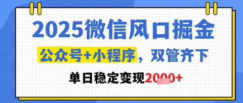 2025微信风口掘金，公众号+小程序双管齐下，单日稳定变现1k+【揭秘】-轻资本网