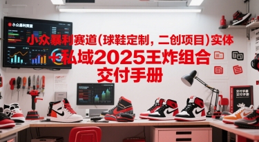 小众暴利赛道(球鞋定制，二创项目)实体+私域2025王炸组合  交付手册-轻资本网