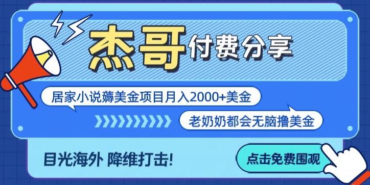 拆解海外撸美金项目月入2000美刀详细指导-轻资本网