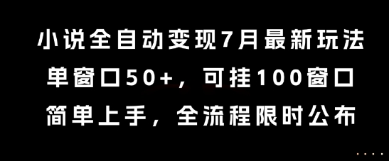 小说全自动变现7月玩法，单窗口50+，可挂100窗口，简单上手，全流程限时公布【揭秘】-轻资本网