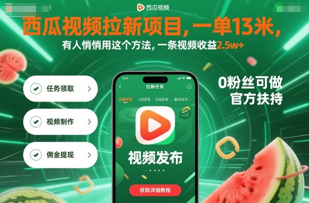 西瓜视频拉新项目，一单13米，有人悄悄用这个方法，一条视频收益2.5w+(附详细教程)-轻资本网