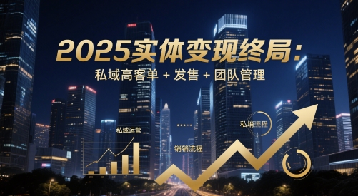 2025实体变现终局：私域高客单+发售+团队管理-轻资本网