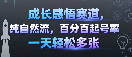 成长感悟赛道，纯自然流，百分百起号率 一天轻松多张-轻资本网
