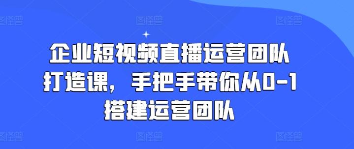 企业短视频直播运营团队打造课，手把手带你从0-1搭建运营团队-轻资本网