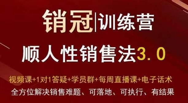 爆款！销冠训练营3.0之顺人性销售法，全方位解决销售难题、可落地、可执行、有结果-轻资本网