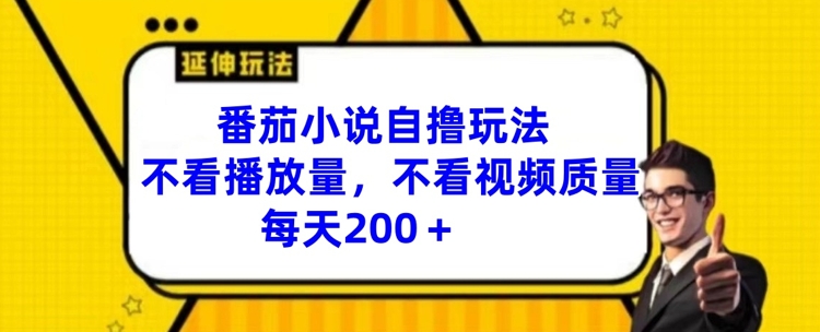番茄小说自撸玩法，不看播放量，不看视频质量，每天200+【揭秘】-轻资本网