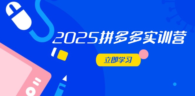 2025拼多多实训营：深度剖析运营关键，助力电商人快速提升-轻资本网