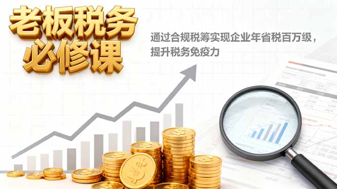 老板税务必修课，通过合规税筹实现企业年省税百万级，提升税务免疫力-轻资本网