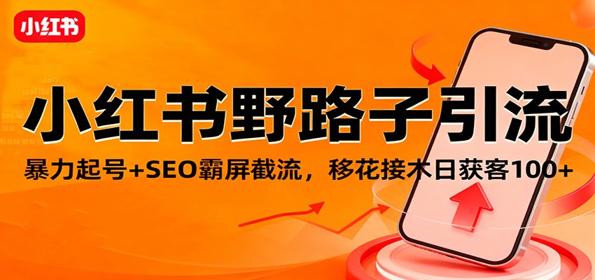 小红书野路子引流，暴力起号+SEO霸屏截流，移花接木日获客100+-轻资本网