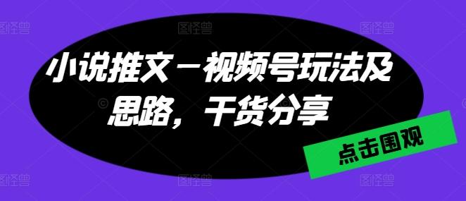 小说推文—视频号玩法及思路，干货分享-轻资本网